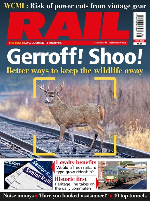 Cover image for RAIL